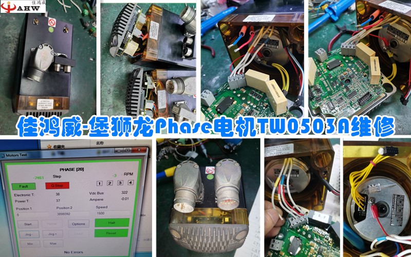堡狮龙Phase电机TW0503A维修